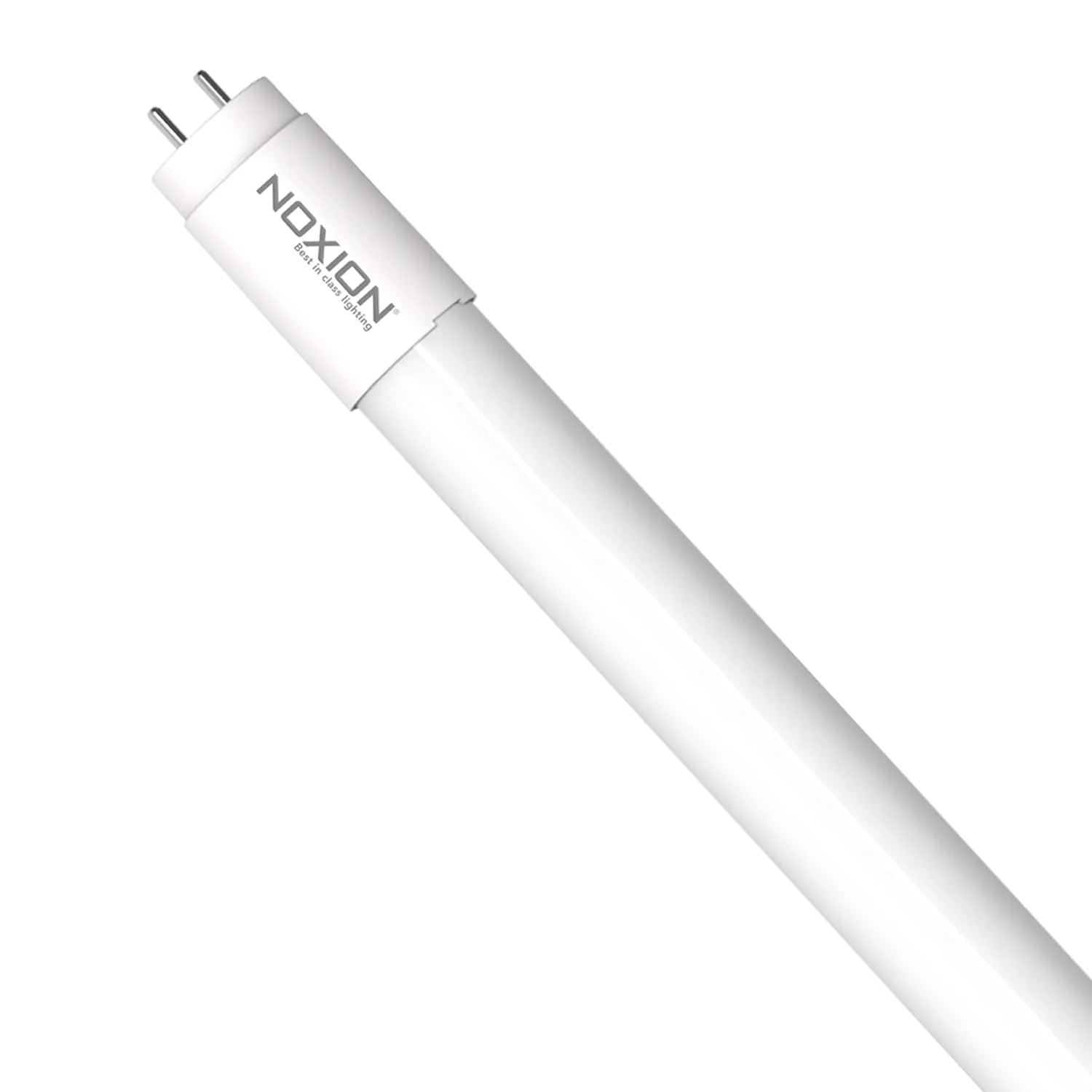 Noxion T8 LED-Röhren